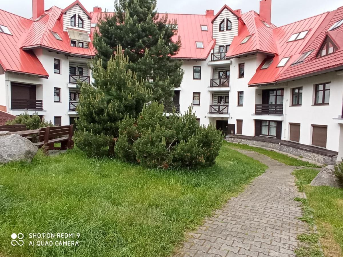 Apartman Violeta Harrachov Exterior photo