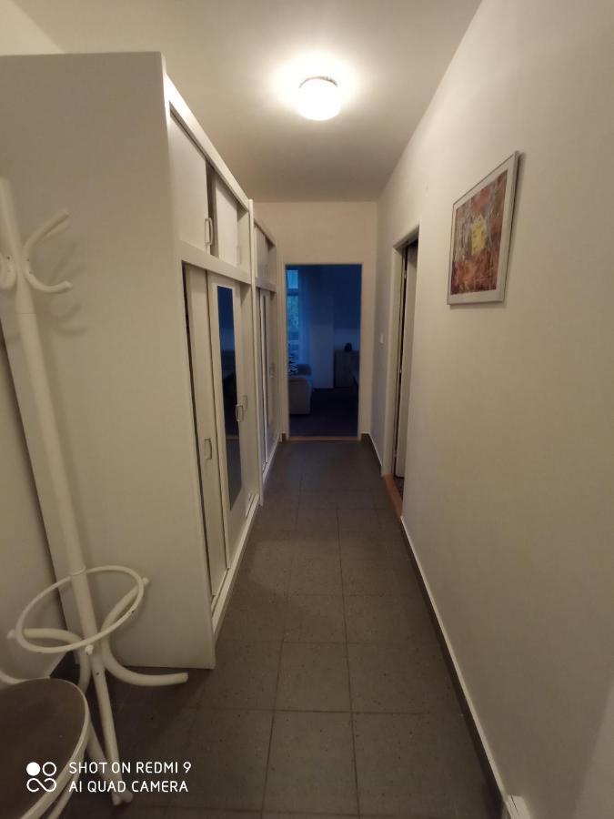 Apartman Violeta Harrachov Exterior photo