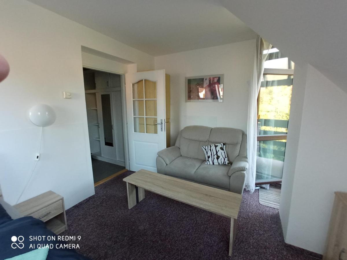 Apartman Violeta Harrachov Exterior photo